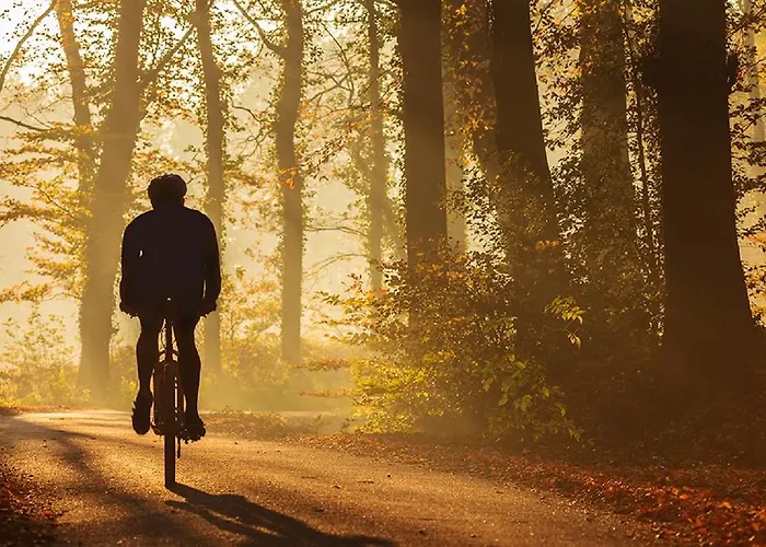 Postillion ホテル 3*